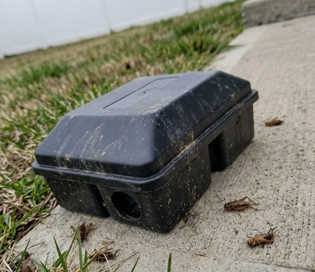 Termite Bait System Installation service in Rio Rancho, NM